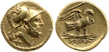 coin rev