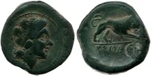 coin rev