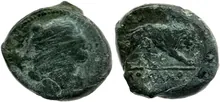 coin rev