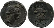 coin rev