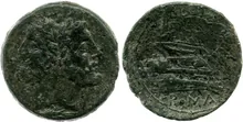 coin rev