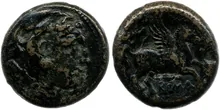 coin rev