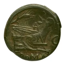 coin rev