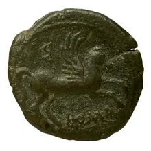 coin rev