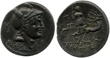 coin rev