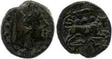 coin rev