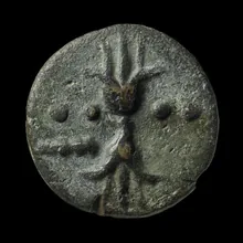 coin rev