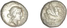 coin rev