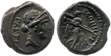 coin rev