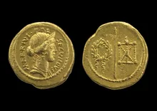 coin rev