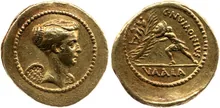 coin rev