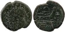 coin rev