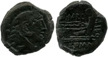 coin rev