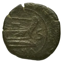 coin rev