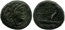 coin rev