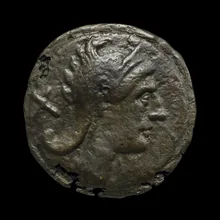 coin obv