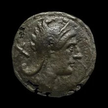 coin rev