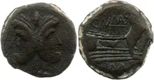 coin rev