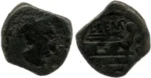 coin rev