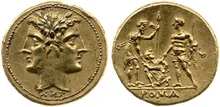 coin rev