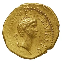 coin rev