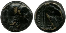 coin rev