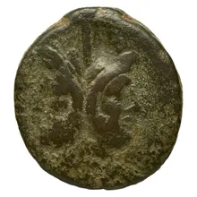 coin obv