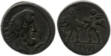coin rev