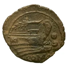 coin rev