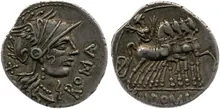 coin rev