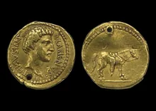 coin rev