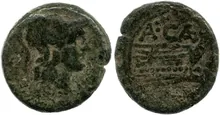 coin rev