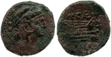 coin rev