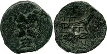 coin rev