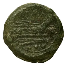 coin rev