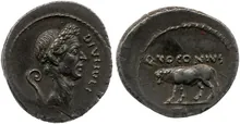 coin rev