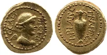 coin rev