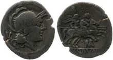 coin rev