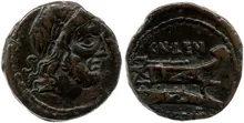 coin rev