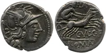 RRC 228/2