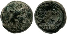 coin rev