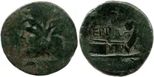 coin rev