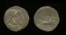 coin rev