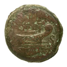 coin rev