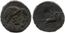 coin rev