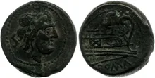 coin rev