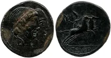 coin rev