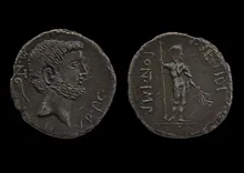 coin rev