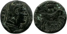 coin rev