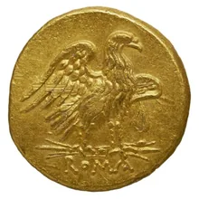 coin rev